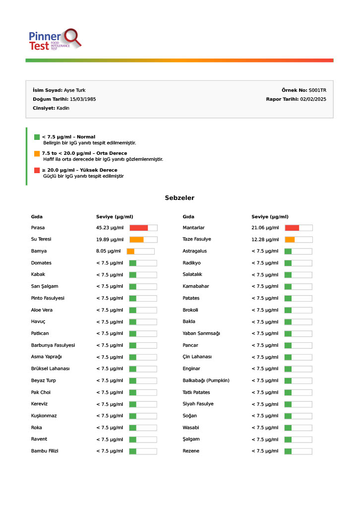 Pinnertest Türkiye örnek sonuç raporu, sayfa 11