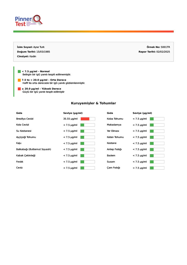 Pinnertest Türkiye örnek sonuç raporu, sayfa 12