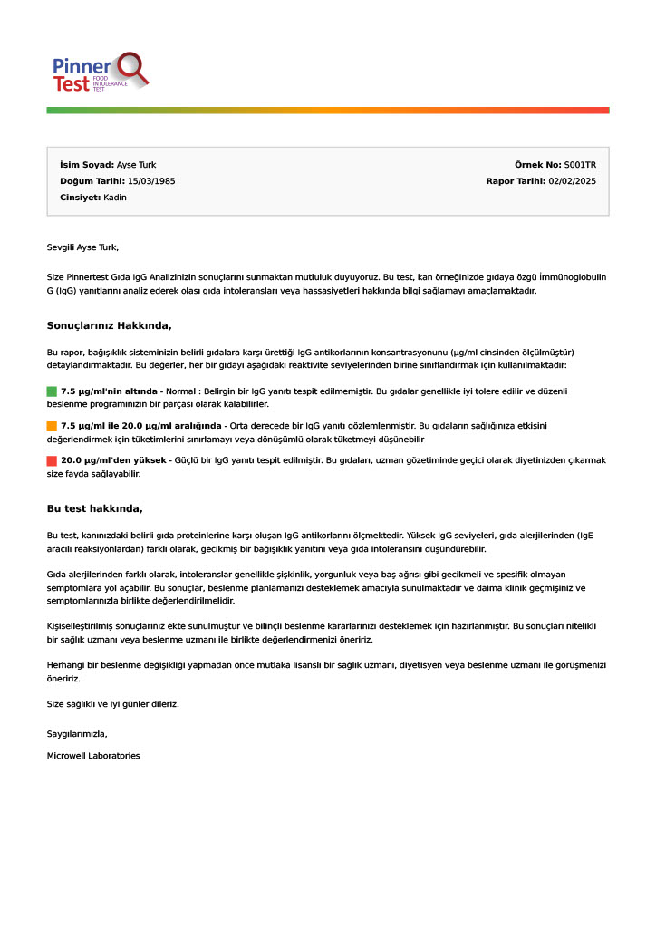 Pinnertest Türkiye örnek sonuç raporu, sayfa 2