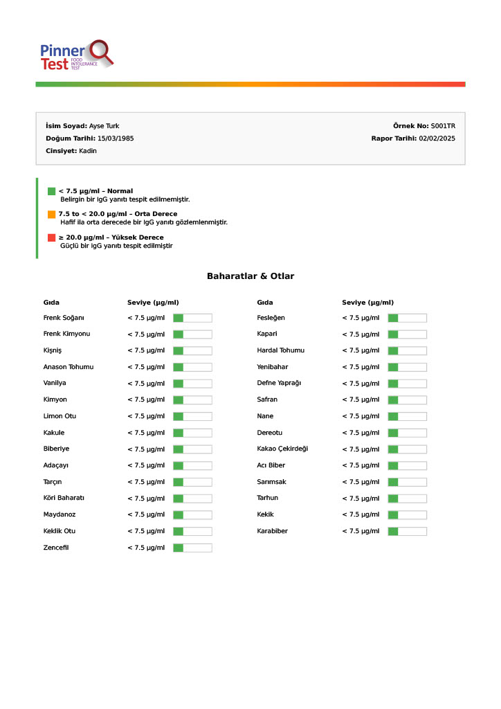 Pinnertest Türkiye örnek sonuç raporu, sayfa 7